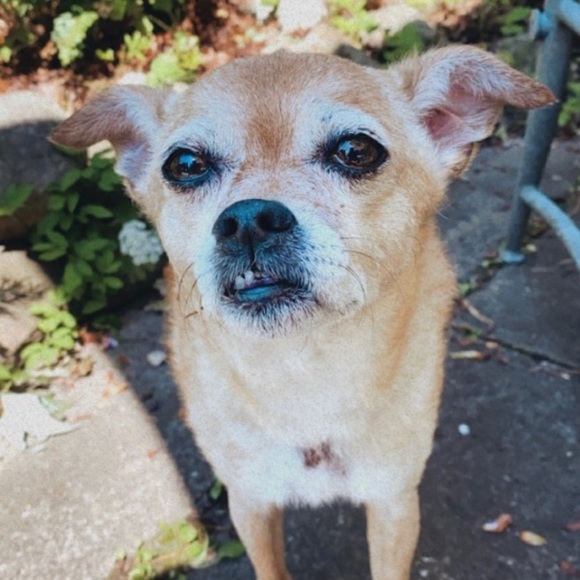 Meet your Posher, Angela - Picture 1 of 1